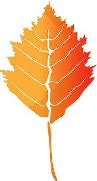 Autumn. One leaf of a tree in orange tones. Stock-Illustration