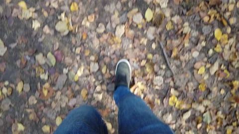 Autumn onset concept, close-up, moving forward in the park. Video stock 140678445