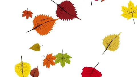 Autumn or fall leaves falling on white screen. Animated background Stock Footage 244325969