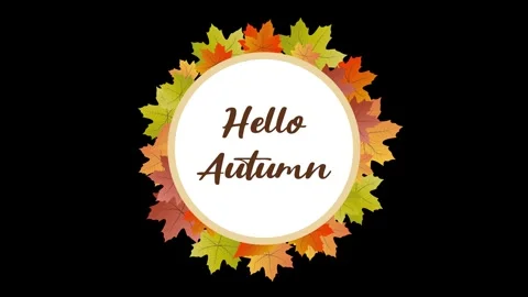 Autumn or fall leaves falling on black screen. Animated background with tex.. Stock Footage 244326071
