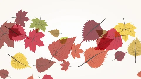 Autumn or fall leaves falling. Animated illustration Stock Footage 247358168