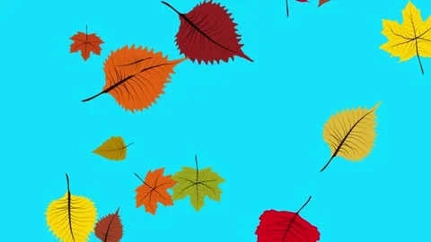 Autumn or fall leaves falling on blue screen. Animated background Stock Footage 250153532