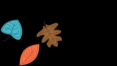 Autumn or fall leaves falling. Animated illustration on black background Stock Footage 252794008