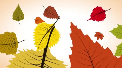 Autumn or fall leaves falling on white screen. Stock Footage 283539551