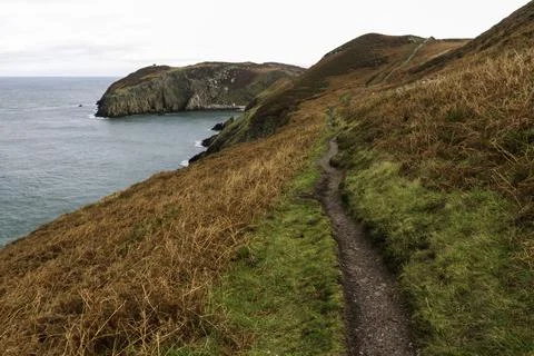 Autumn or fall path with sea Stock Photos