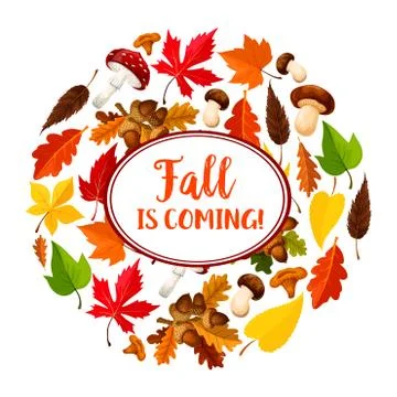 Autumn or leaf fall vector seasonal poster Illustrazione stock
