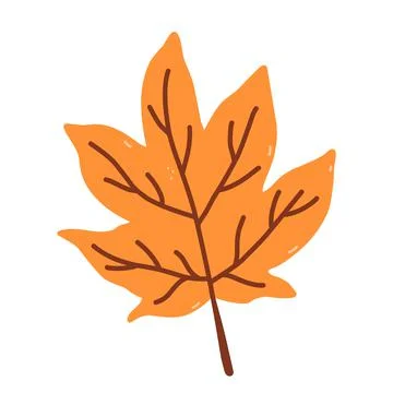 Autumn orange leaf isolated on white background Stock Illustration