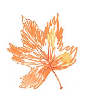 Autumn orange maple leaf, hand-drawn with a felt-tip pen on a white background Stock Illustration