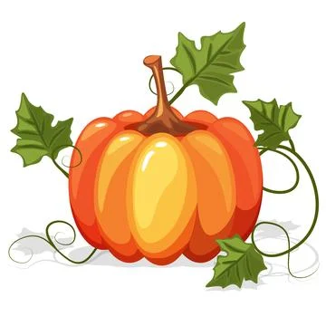 Autumn Orange Pumpkin Vegetable Stock Illustration