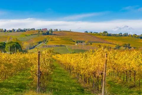 Autumn orchards Stock Photos