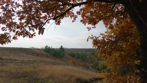 Autumn panoramic landscape Stock Footage 218111667