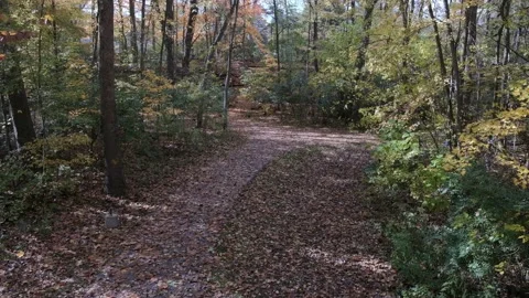 Autumn Park 4K Stock Footage 141889236
