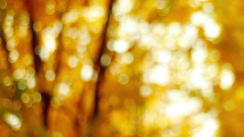 Autumn park backdrop in defocus Video stock 95641969