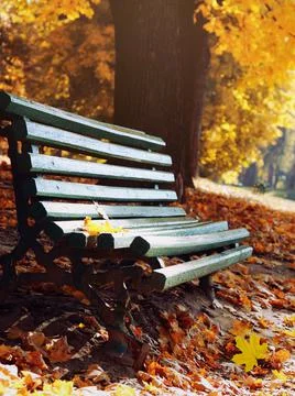 Autumn, park bench. leaf fall Stock Photos