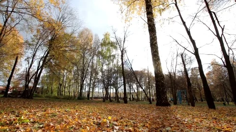 Autumn park with foliage Stock-Footage 69925522