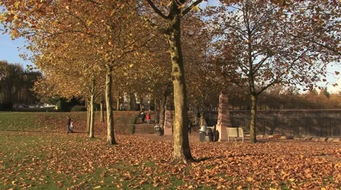 Autumn Park Stock Footage 929708