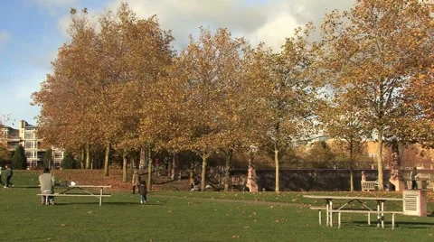 Autumn Park Stock Footage 930290