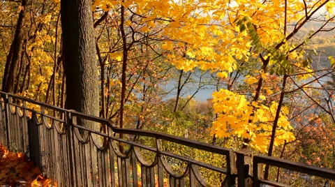 Autumn park Video stock 978732