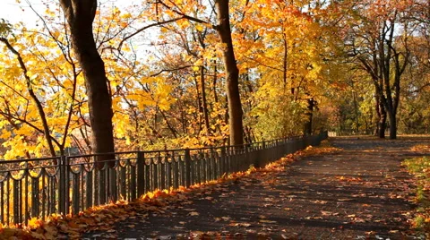 Autumn park Stock-Footage 978843