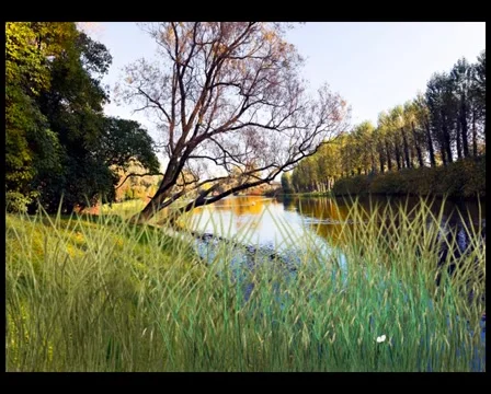 Autumn in park Stock Footage 6523842