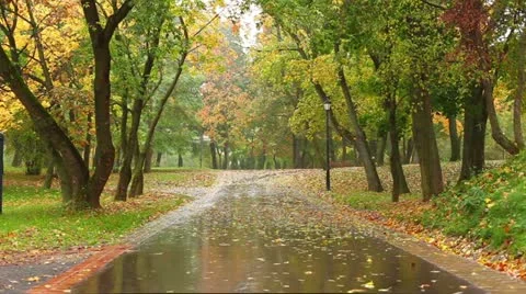 Autumn in a park Stock Footage 12256643