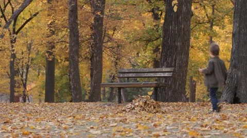 Autumn park Stock Footage