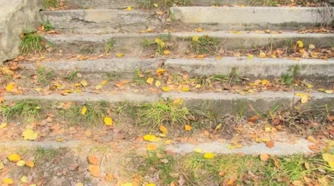 Autumn park 스톡 동영상 12644642