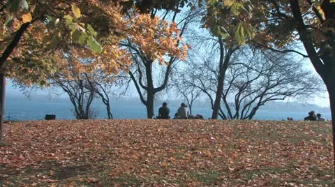 Autumn in the park Stock Footage 18420751