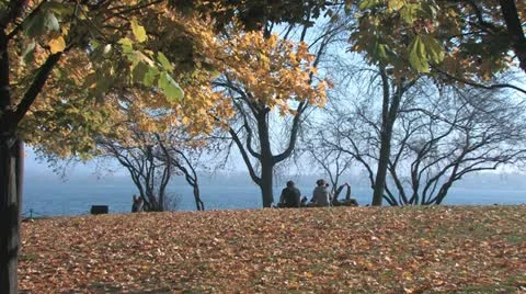 Autumn in the park Video stock 18422825