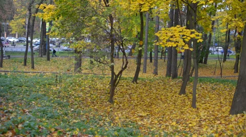 Autumn Park Stockbeeldmateriaal 32244551