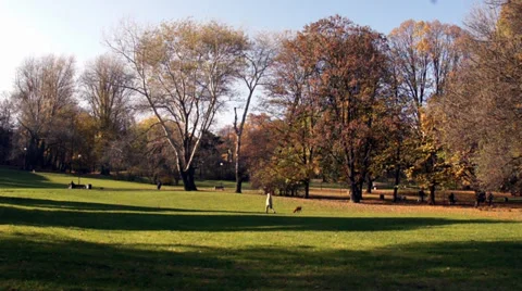 Autumn park Stock Footage 35106033