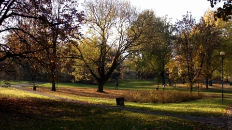 Autumn park Stock Footage 35107041