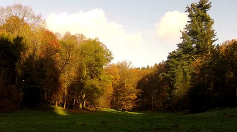 Autumn in the park. Stock Footage 35219662