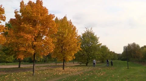 Autumn park Stock Footage 42057372