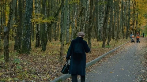 Autumn Park Stock Footage 62945781