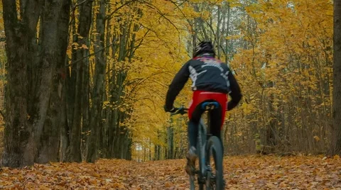 Autumn Park Stock Footage 62945795