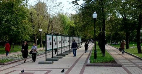 Autumn in the Park Stock Footage 68052945