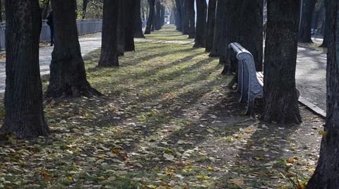 Autumn park Stock Footage