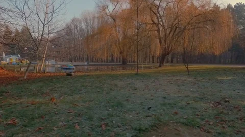 Autumn park Stock Footage 69775971