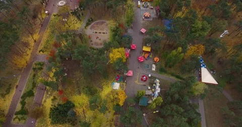 Autumn park Stock Footage 71408713