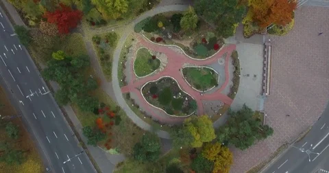 Autumn park Stock Footage 71408983