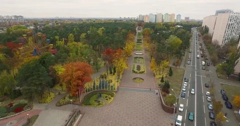 Autumn park Stock Footage 71412724
