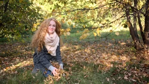 Autumn in the park Stock Footage 72457480