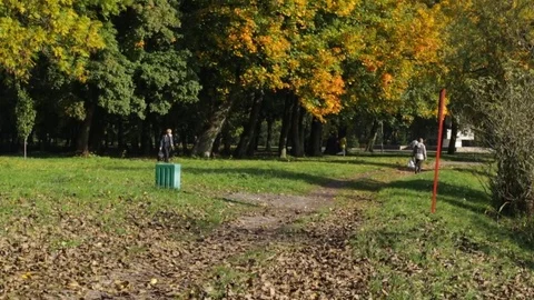 Autumn in the park 動画素材 84772514