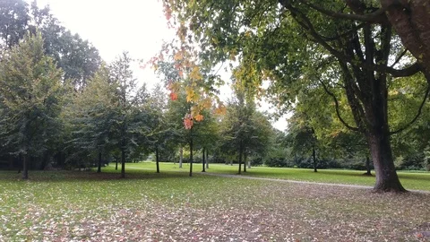 Autumn Park Stock Footage 96175996