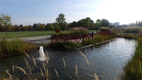 In the autumn park Video stock 97342677
