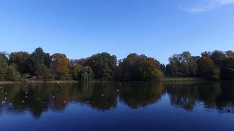In a autumn park Video stock 97343867