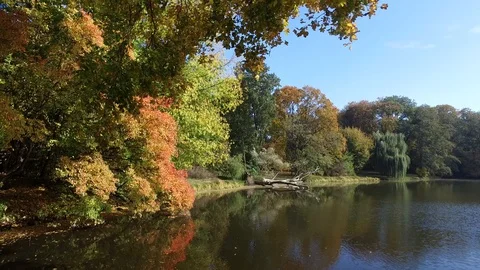 In a autumn park Video stock 97349908