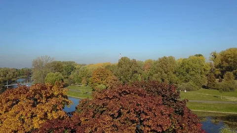 Autumn in a park Video stock 98101372