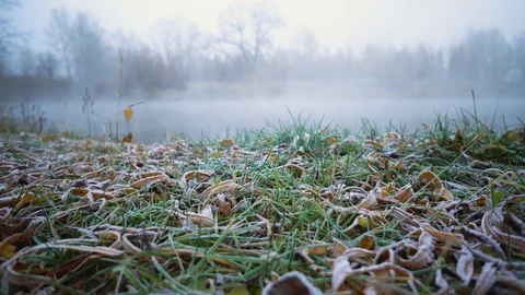 The Autumn Park. Stock Footage 98600272